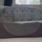 SpineThera Pillow